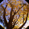 The beauty of outside : Take a moment and look at nature at it's best.
