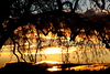 Sunsets : 