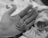 Lacee's Twins : 