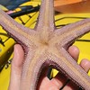 Monterey Bay Trip : 