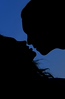 11.29.08 
lust and love

A hard shoot for me to pick my "SOTD" but this is different for me and it is so them!!!! 

Take a look  at the rest, which look nothing like this silhouette that was taken outside by Folsom Lake.   
http://katchinyakandid.smugmug.com/gallery/2165470_SCZeB/1/428142603_HY3yk#428142603_HY3yk